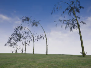 cartoon tree 03 3D Model