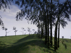 cartoon tree 03 3D Model