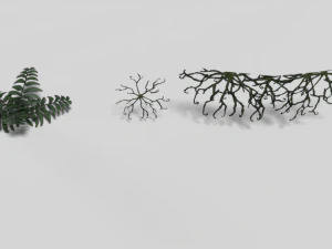 cartoon plants 02 3D Model
