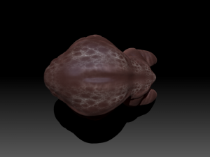 hipomut 3D Model