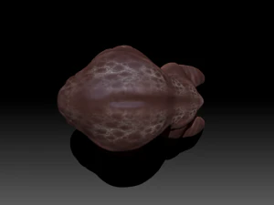 ヒポムット 3Dモデル