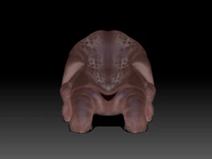 ヒポムット 3Dモデル