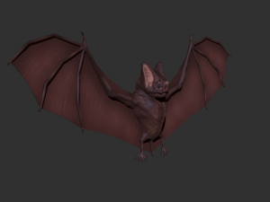 3d bat 3D Model