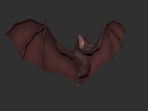 3d bat 3D Model
