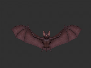 3d bat 3D Model