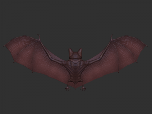 3d bat 3D Model