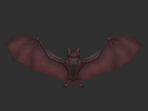 3d bat 3D Model