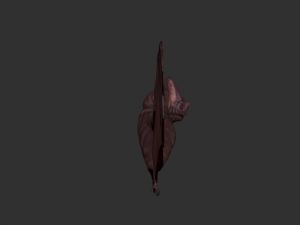 3d bat 3D Model