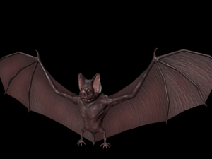 3d bat 3D Model