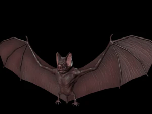 3d bat 3D Model