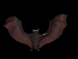 3d bat 3D Model