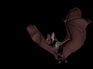 3d bat 3D Model