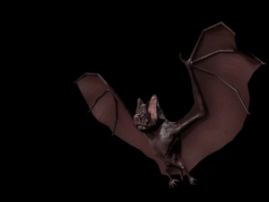 3d bat 3D Model