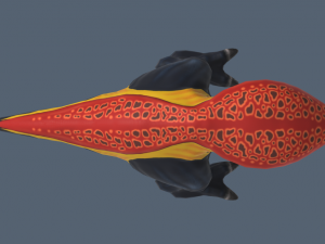 galinidios 3D 模型