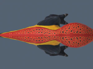 galinidios 3D Model
