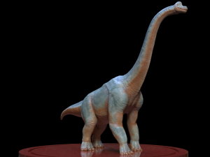 3d brachio Model 3D