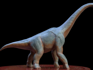 3d brachio Model 3D