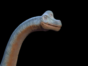 3d brachio Model 3D