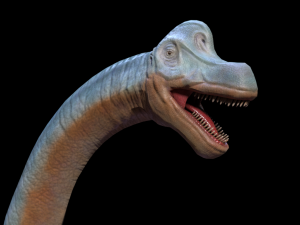 3d brachio Model 3D