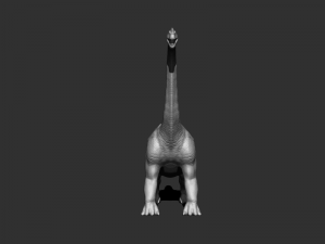 3d brachio Model 3D