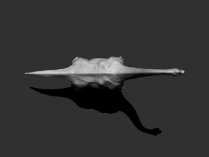 3d brachio Model 3D