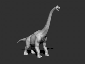 3d brachio Model 3D
