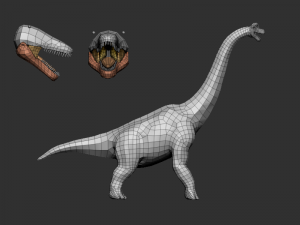 3d brachio Model 3D