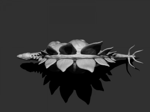 3d stego 3D Model
