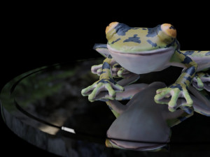 3d frog 3D Model
