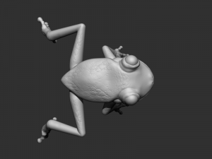 3d frog 3D Model