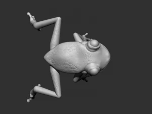 3d frog 3D Model