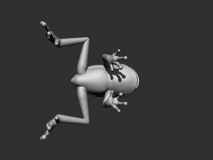 3d frog 3D Model