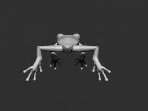 3d frog 3D Model