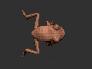 3d frog 3D Model