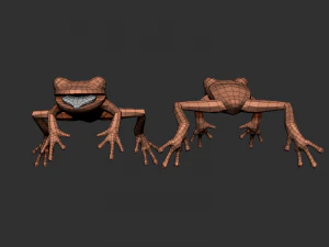 3d frog 3D Model