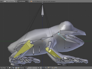 3d frog 3D Model