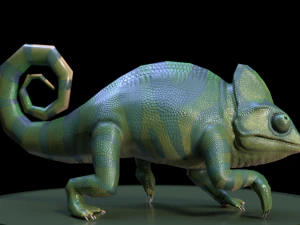 3d chameleon 3D Model