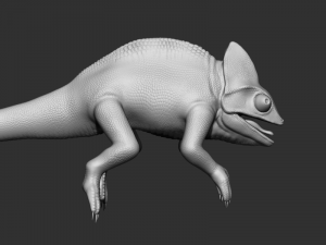 3d chameleon 3D Model