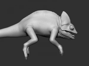 3d chameleon 3D Model