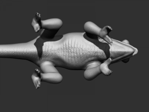 3d chameleon 3D Model