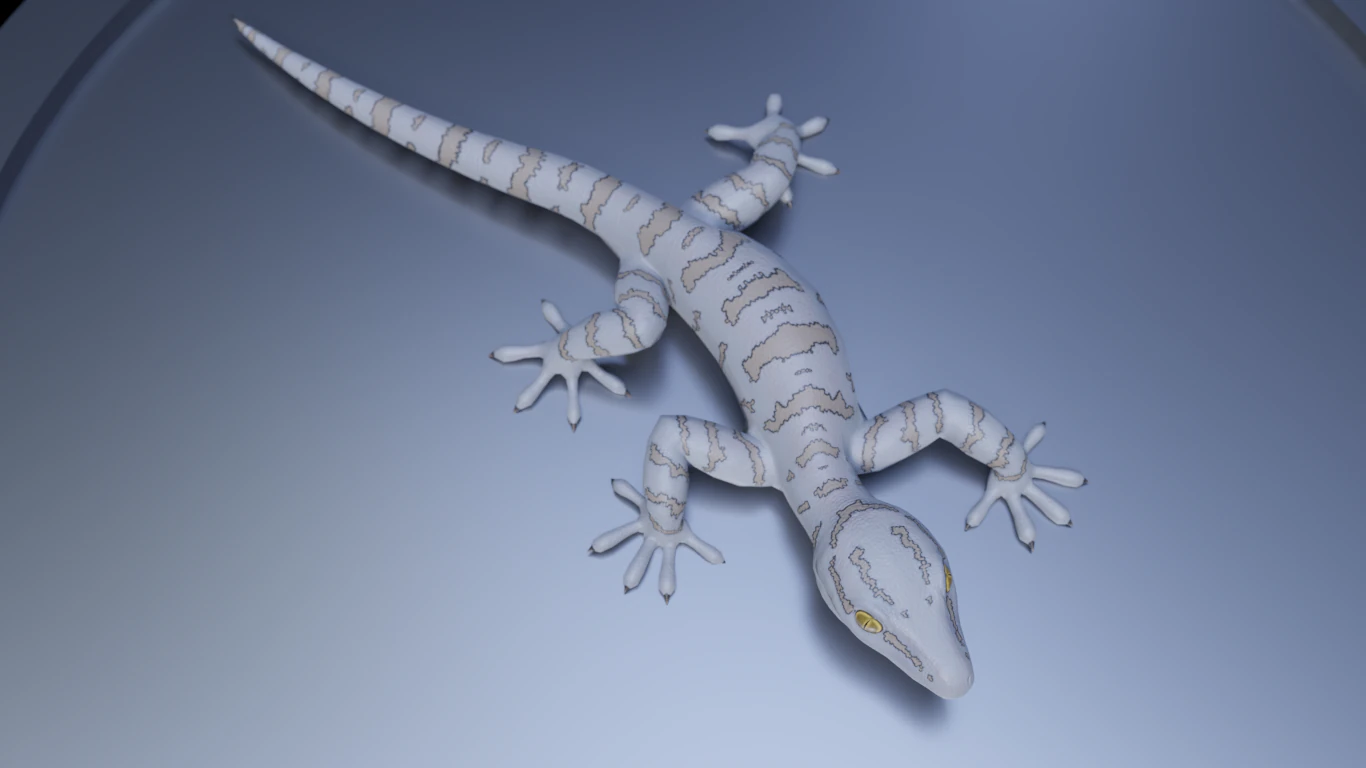 3d gecko 3D Model .c4d .max .obj .3ds .fbx .stl .blend 