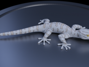 3d gecko 3Dモデル