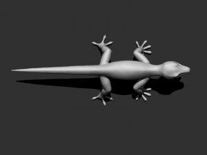 3d gecko 3Dモデル