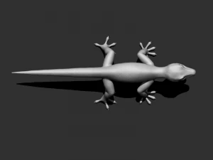 3d gecko 3D Model