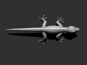 3d gecko 3Dモデル