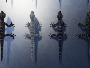 3d gecko 3Dモデル