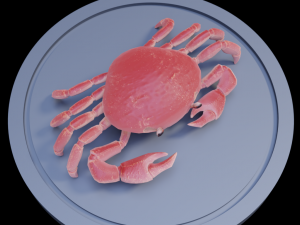 3d crab 3D Model