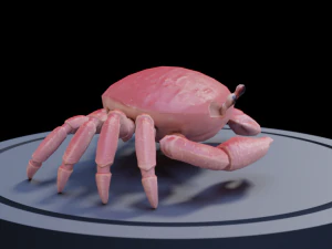 3d crab 3D Model