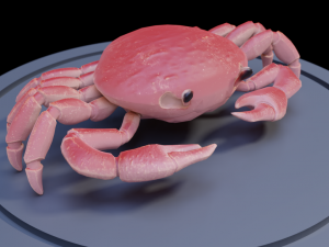 3d crab 3D 모델