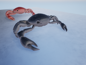 3d crab 3D 모델